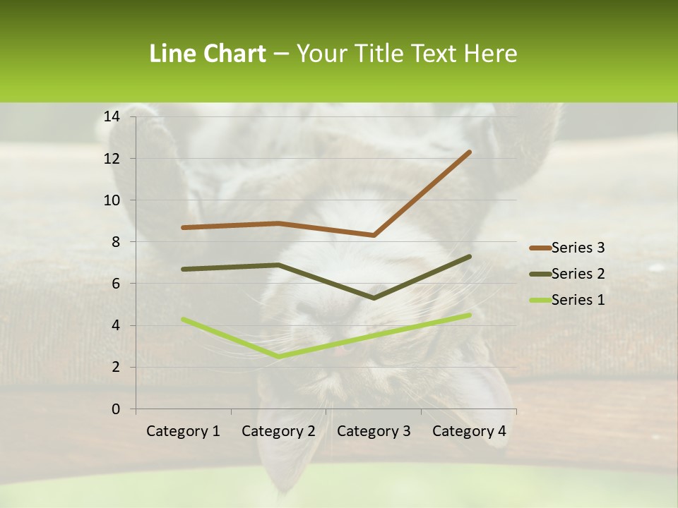 A Cat That Is Laying Down On A Bench PowerPoint Template