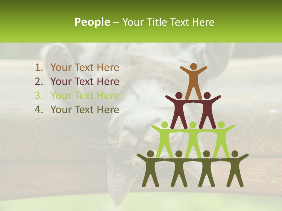 A Cat That Is Laying Down On A Bench PowerPoint Template