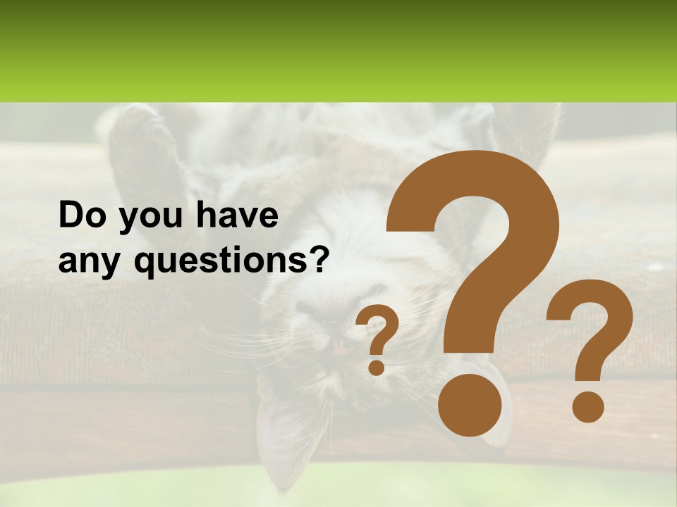 A Cat That Is Laying Down On A Bench PowerPoint Template