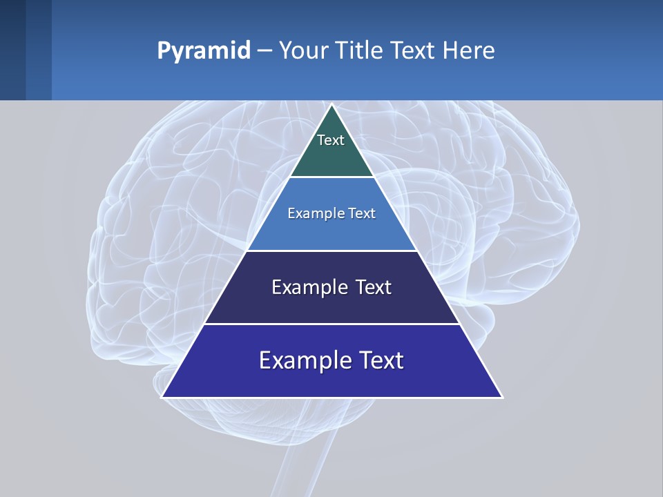 A Blue Brain Powerpoint Presentation Is Shown PowerPoint Template