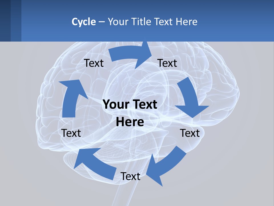 A Blue Brain Powerpoint Presentation Is Shown PowerPoint Template