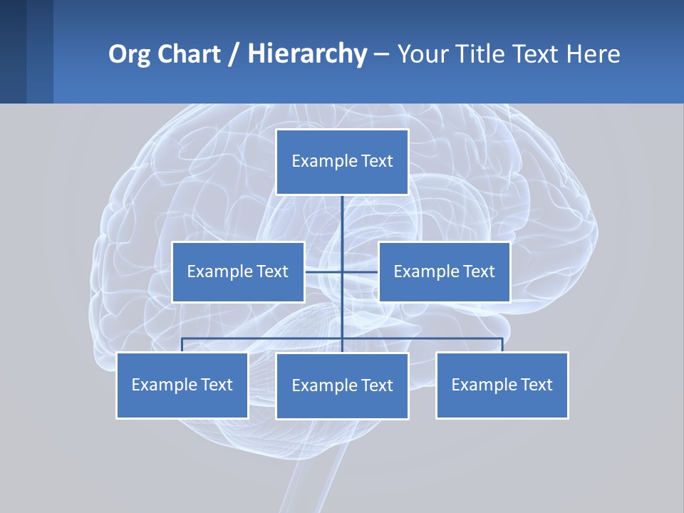 A Blue Brain Powerpoint Presentation Is Shown PowerPoint Template