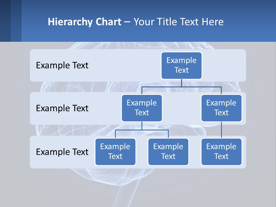 A Blue Brain Powerpoint Presentation Is Shown PowerPoint Template