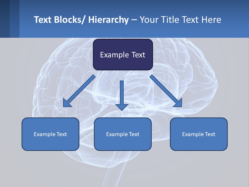 A Blue Brain Powerpoint Presentation Is Shown PowerPoint Template