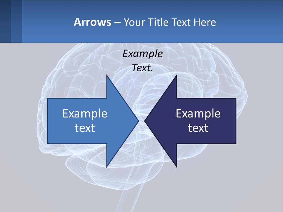 A Blue Brain Powerpoint Presentation Is Shown PowerPoint Template