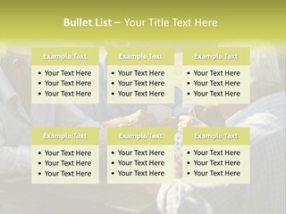 A Group Of Elderly Men Playing Cards At A Picnic Table PowerPoint Template