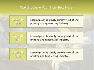 A Group Of Elderly Men Playing Cards At A Picnic Table PowerPoint Template