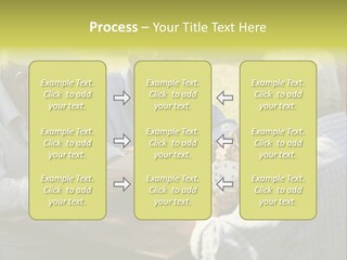 A Group Of Elderly Men Playing Cards At A Picnic Table PowerPoint Template