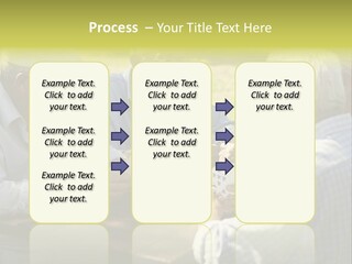 A Group Of Elderly Men Playing Cards At A Picnic Table PowerPoint Template