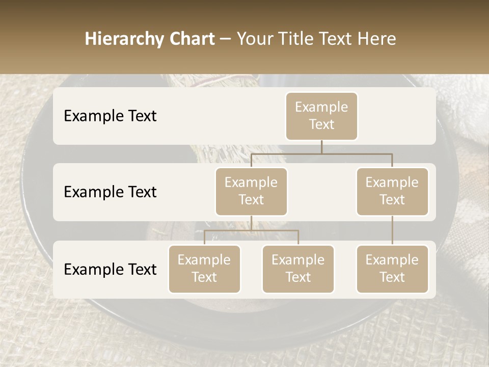 A Black Bowl With A Plant Inside Of It PowerPoint Template