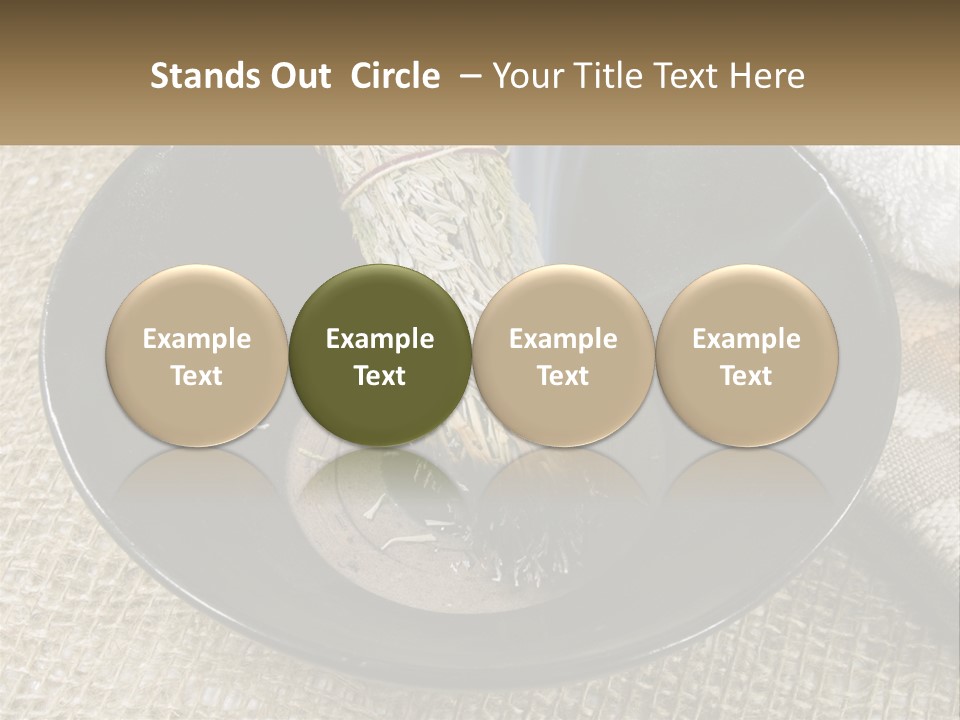 A Black Bowl With A Plant Inside Of It PowerPoint Template