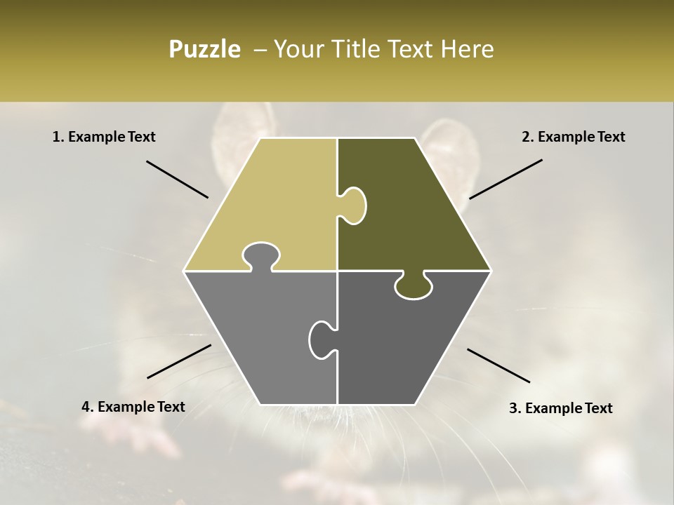 A Brown Rat Sitting On Top Of A Table PowerPoint Template