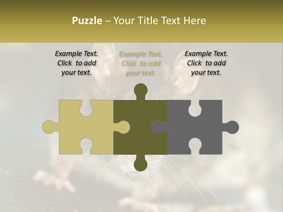 A Brown Rat Sitting On Top Of A Table PowerPoint Template