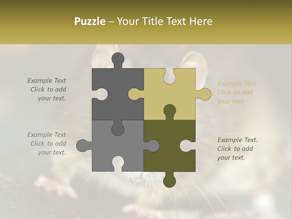 A Brown Rat Sitting On Top Of A Table PowerPoint Template