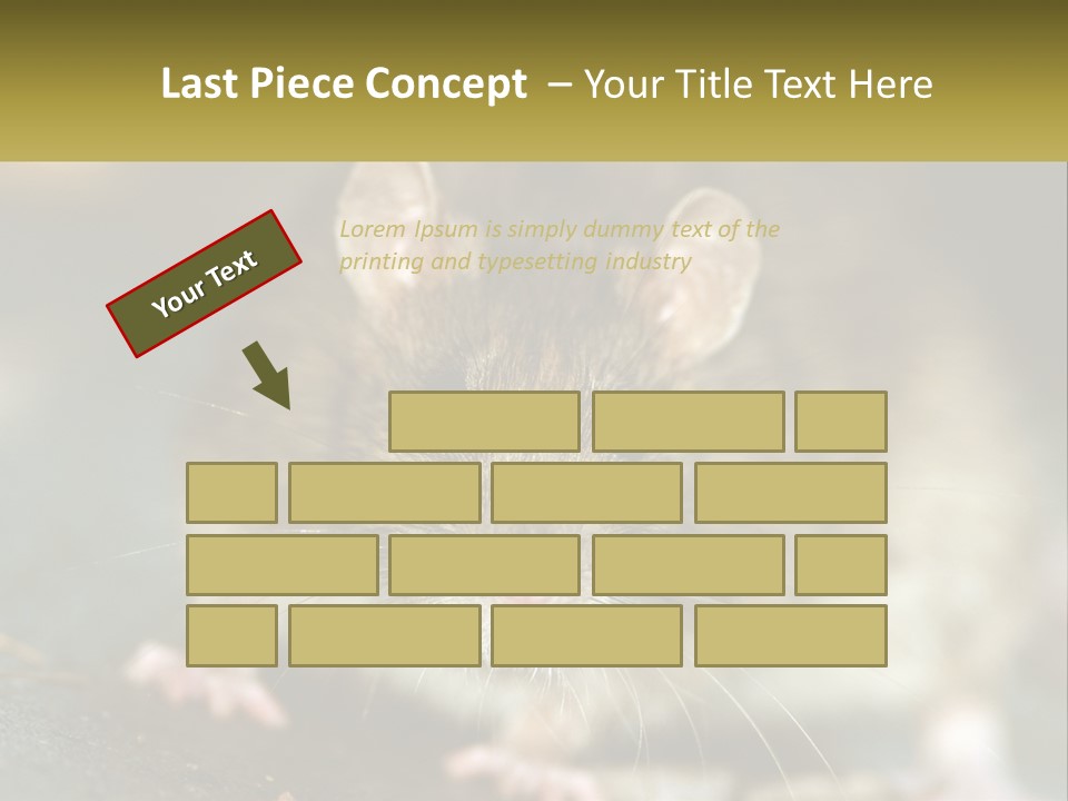 A Brown Rat Sitting On Top Of A Table PowerPoint Template