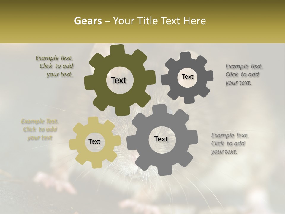 A Brown Rat Sitting On Top Of A Table PowerPoint Template