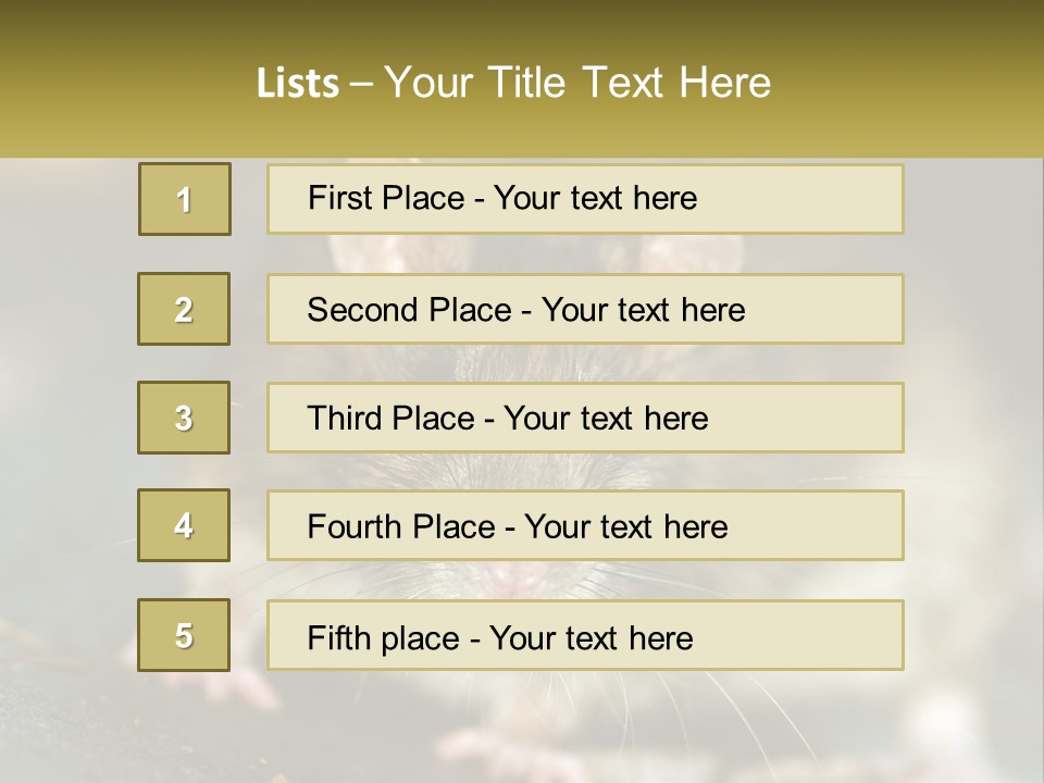 A Brown Rat Sitting On Top Of A Table PowerPoint Template
