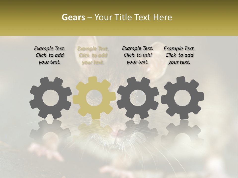 A Brown Rat Sitting On Top Of A Table PowerPoint Template