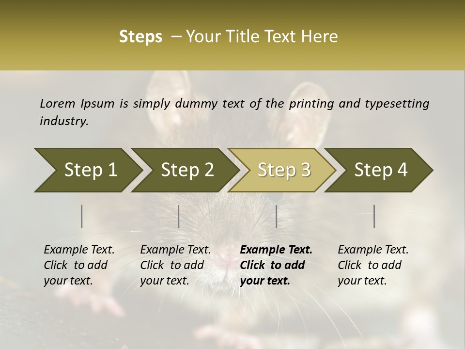 A Brown Rat Sitting On Top Of A Table PowerPoint Template