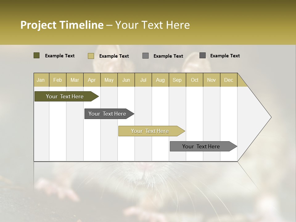 A Brown Rat Sitting On Top Of A Table PowerPoint Template
