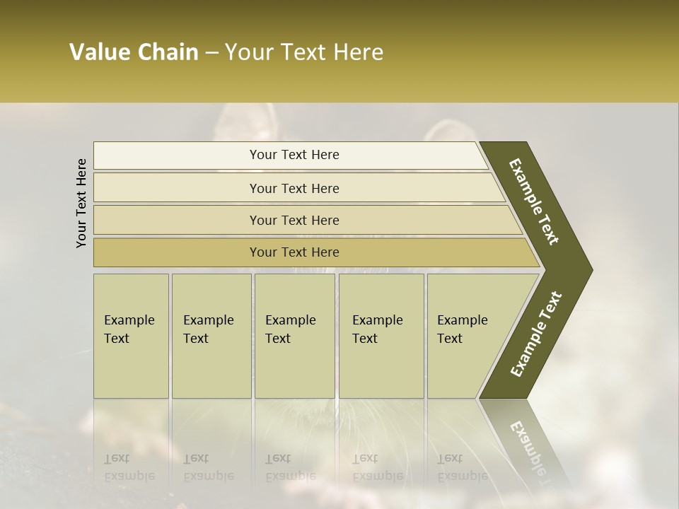 A Brown Rat Sitting On Top Of A Table PowerPoint Template