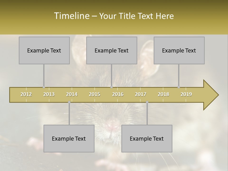 A Brown Rat Sitting On Top Of A Table PowerPoint Template