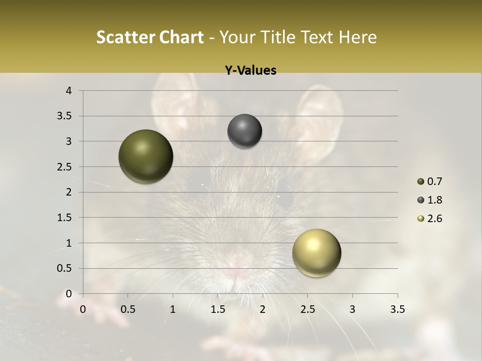 A Brown Rat Sitting On Top Of A Table PowerPoint Template