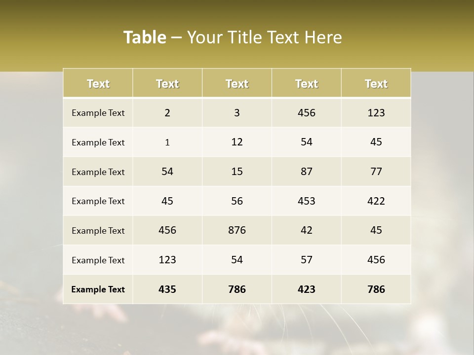 A Brown Rat Sitting On Top Of A Table PowerPoint Template