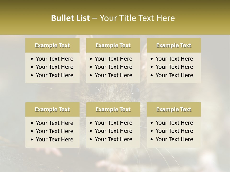 A Brown Rat Sitting On Top Of A Table PowerPoint Template