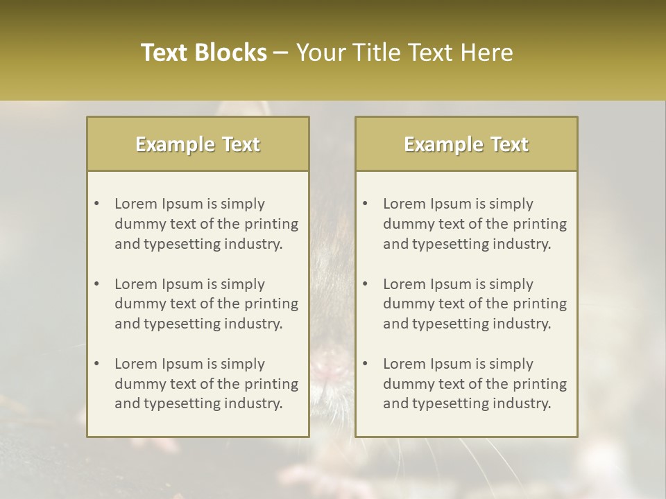 A Brown Rat Sitting On Top Of A Table PowerPoint Template