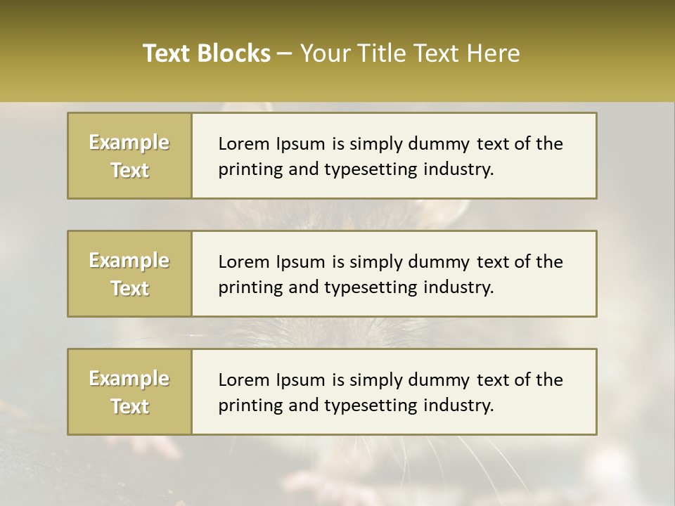 A Brown Rat Sitting On Top Of A Table PowerPoint Template