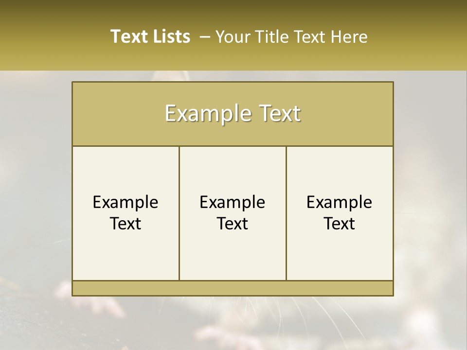 A Brown Rat Sitting On Top Of A Table PowerPoint Template