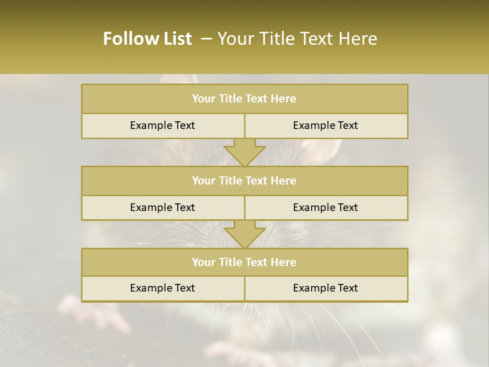 A Brown Rat Sitting On Top Of A Table PowerPoint Template