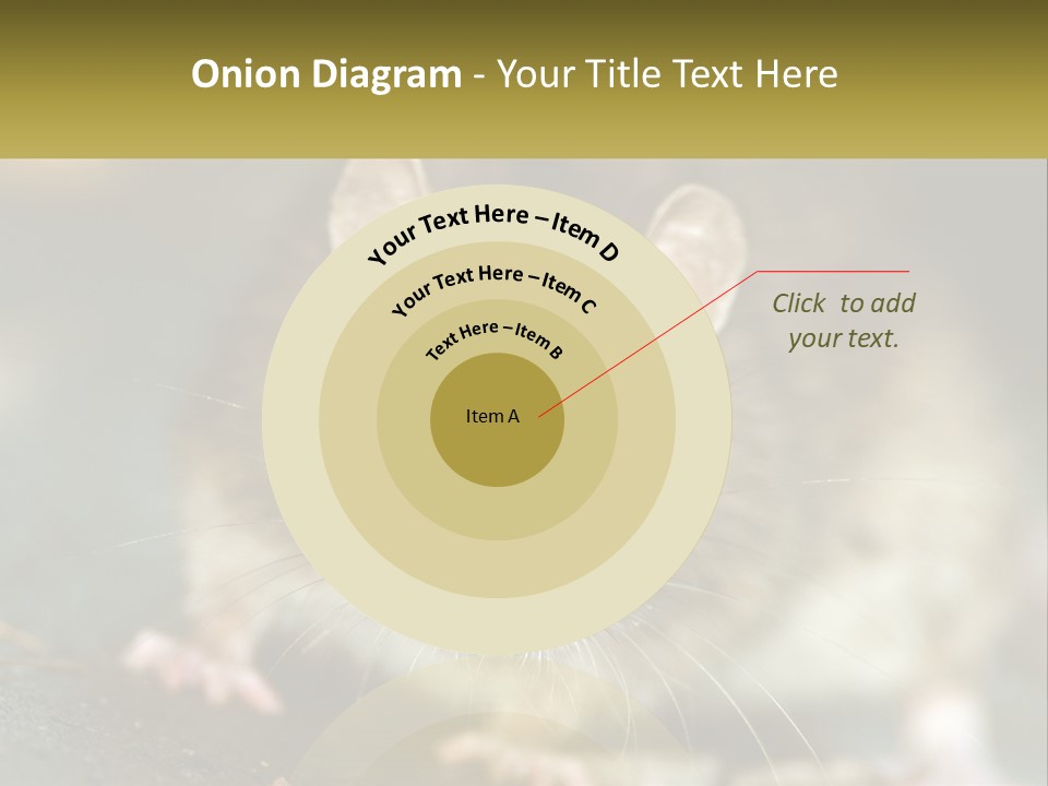 A Brown Rat Sitting On Top Of A Table PowerPoint Template