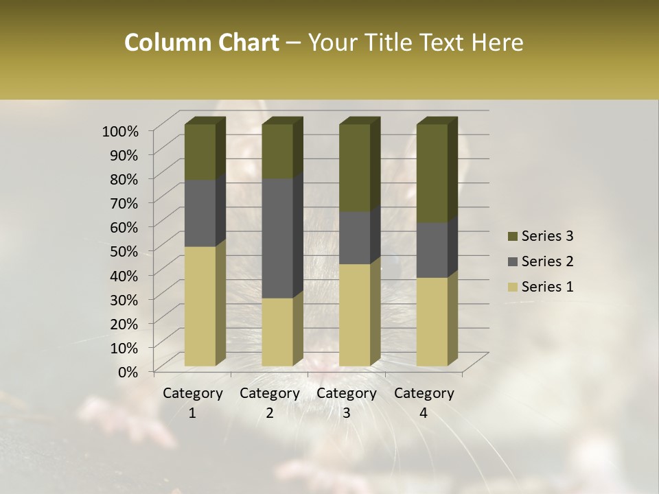 A Brown Rat Sitting On Top Of A Table PowerPoint Template