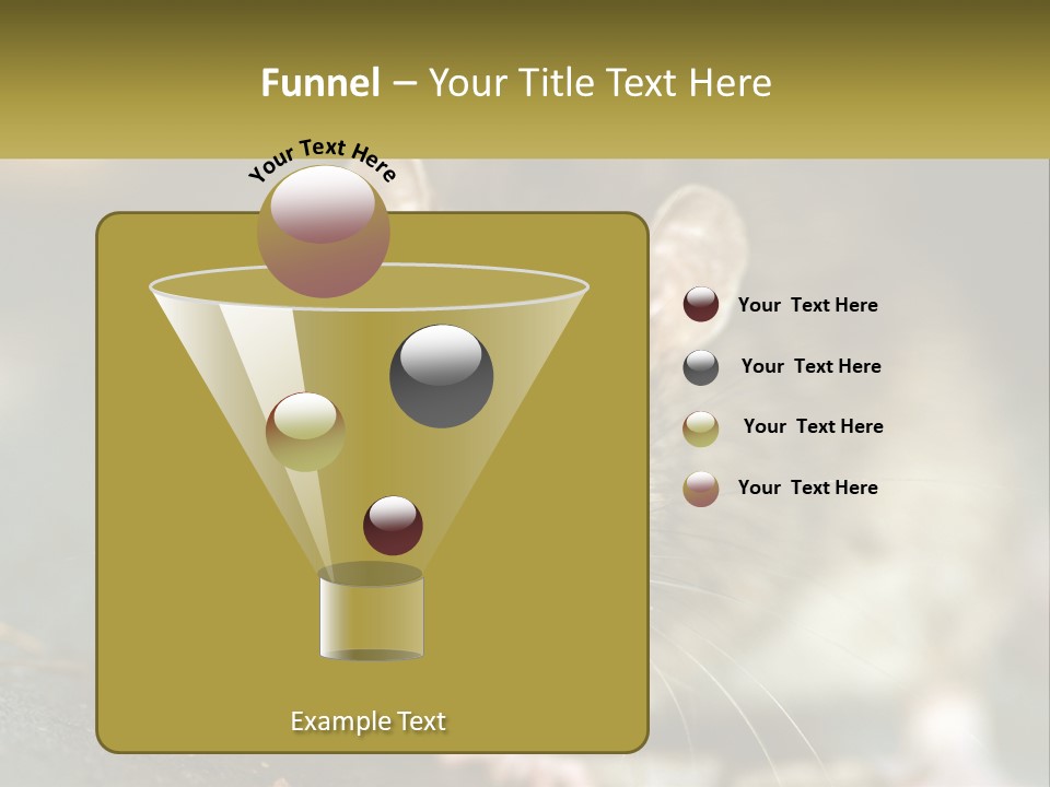 A Brown Rat Sitting On Top Of A Table PowerPoint Template