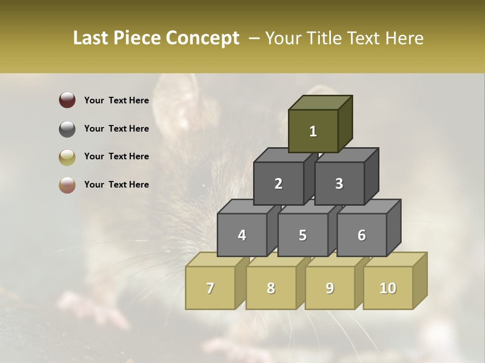 A Brown Rat Sitting On Top Of A Table PowerPoint Template