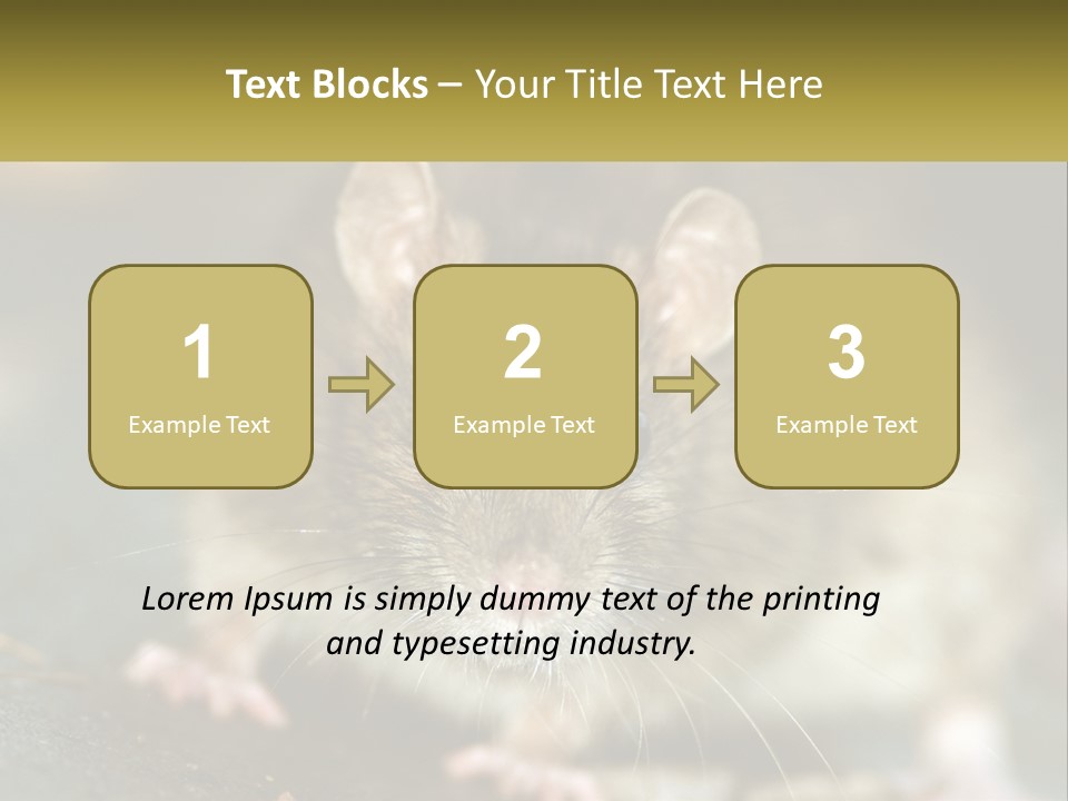 A Brown Rat Sitting On Top Of A Table PowerPoint Template