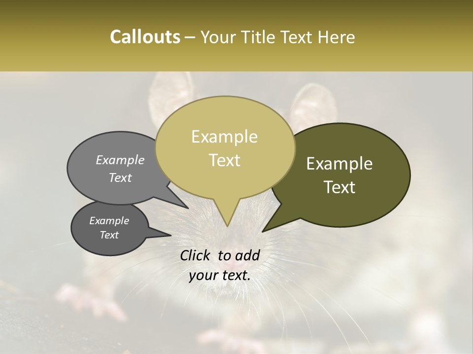 A Brown Rat Sitting On Top Of A Table PowerPoint Template