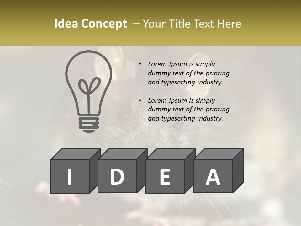 A Brown Rat Sitting On Top Of A Table PowerPoint Template