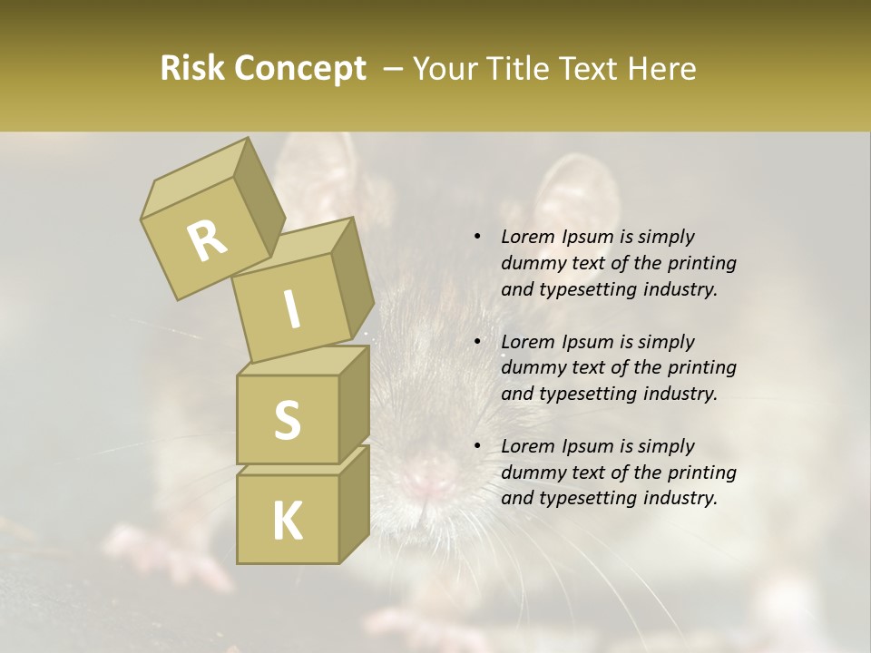 A Brown Rat Sitting On Top Of A Table PowerPoint Template