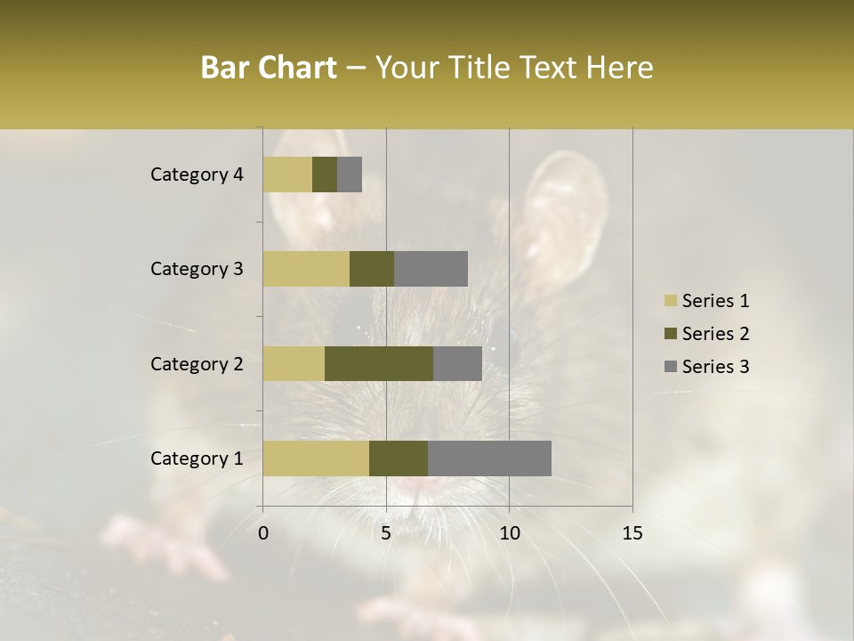 A Brown Rat Sitting On Top Of A Table PowerPoint Template