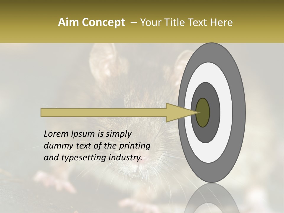 A Brown Rat Sitting On Top Of A Table PowerPoint Template