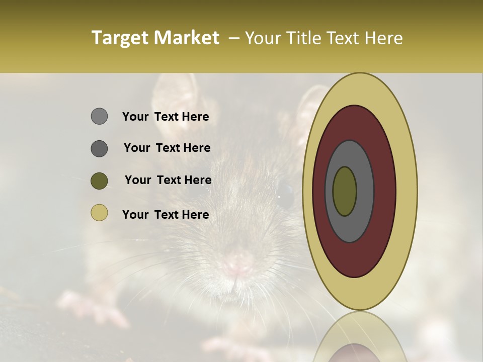 A Brown Rat Sitting On Top Of A Table PowerPoint Template