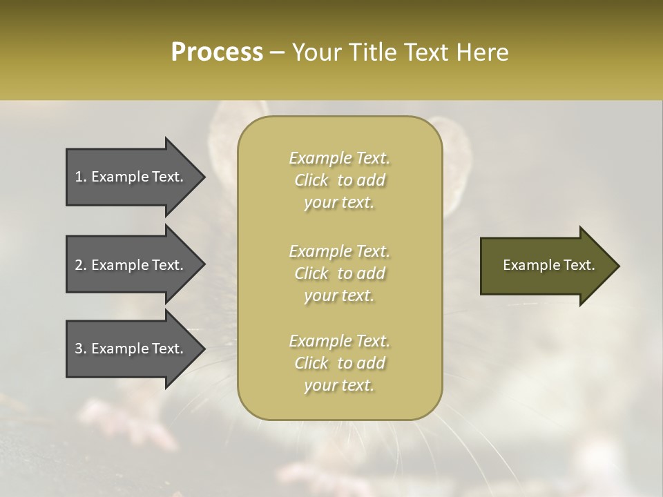 A Brown Rat Sitting On Top Of A Table PowerPoint Template