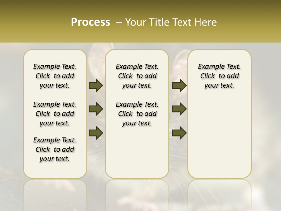 A Brown Rat Sitting On Top Of A Table PowerPoint Template
