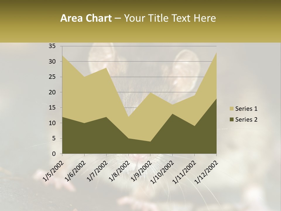A Brown Rat Sitting On Top Of A Table PowerPoint Template