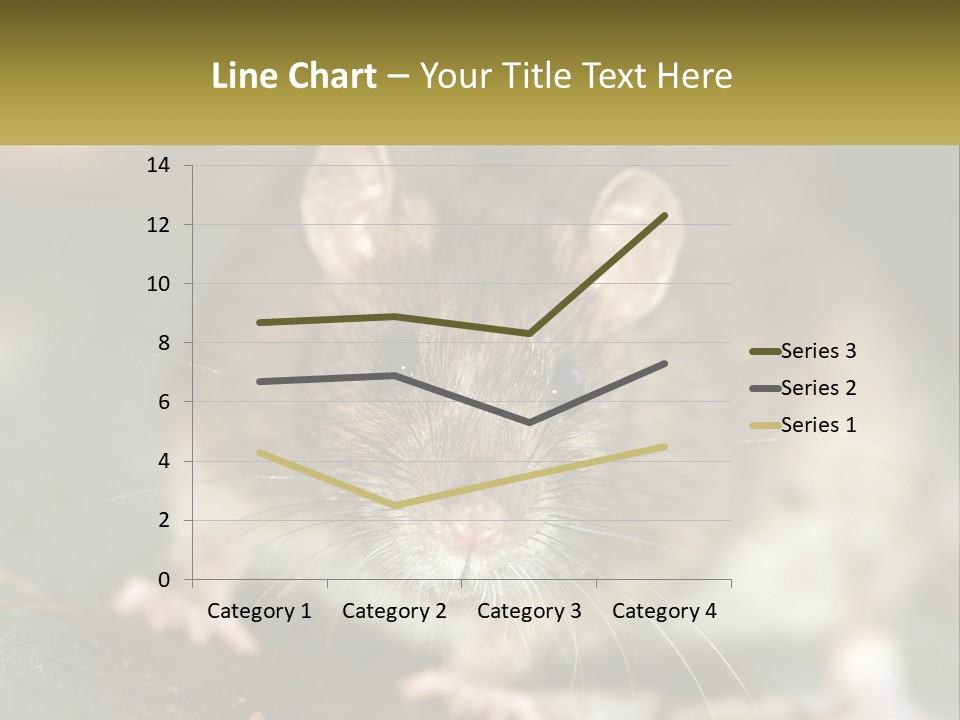 A Brown Rat Sitting On Top Of A Table PowerPoint Template