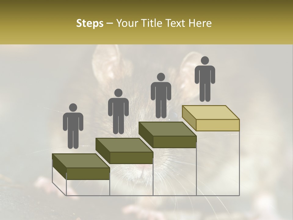 A Brown Rat Sitting On Top Of A Table PowerPoint Template