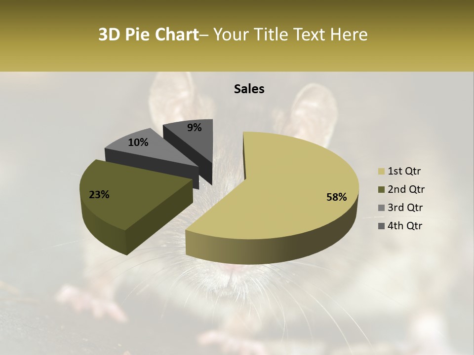 A Brown Rat Sitting On Top Of A Table PowerPoint Template